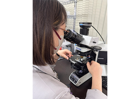 見えない危険を、確かな分析で「事前調査・採取分析プラン」